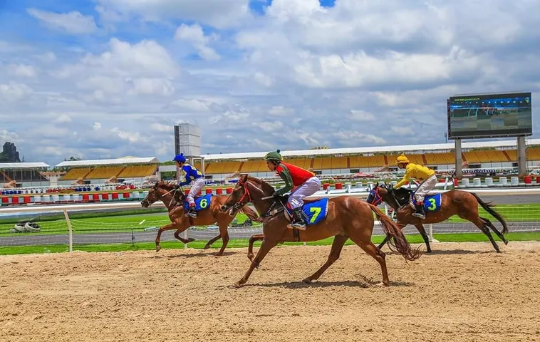 Chinh Phục Đấu Trường Đua Ngựa PK14 Rinh Thưởng Khủng Mỗi Ngày