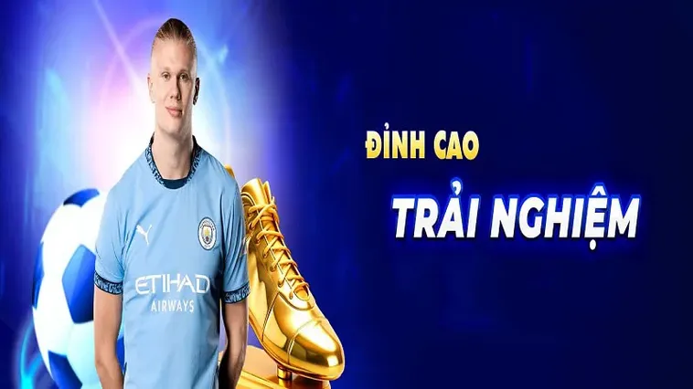 Hướng Dẫn Tìm Hiểu Cá Cược Bóng Đá PK14 Từ A Đến Z Cho Người Mới