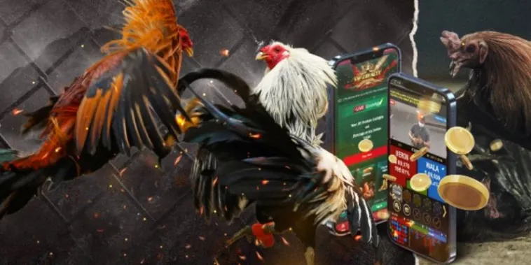 Bí Kíp Chơi Đá Gà GA28 Tại PK14 Từ Cao Thủ Hốt Bạc Tỷ