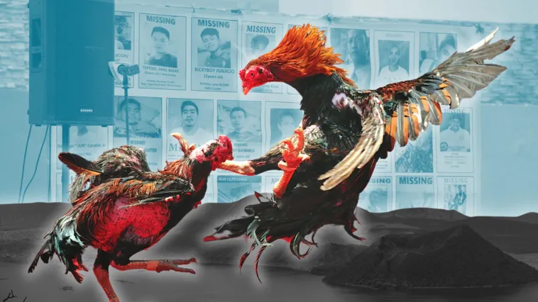 Chinh Phục Đấu Trường Đá Gà Sabong PK14 Nhận Thưởng Cực Khủng