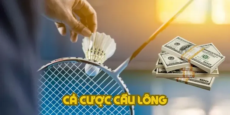 Bí Quyết Cá Cược Cầu Lông PK14 Giúp Bạn Thắng Cược Tiền Tỷ