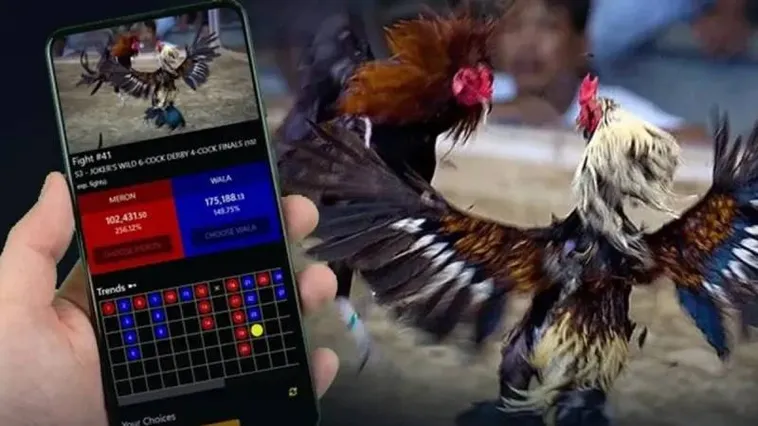 Đá Gà PK14 Đấu Trường Kịch Tính Chinh Phục Mọi Kê Thủ 2025